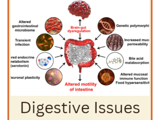 digestive issues a holistic approach to healing